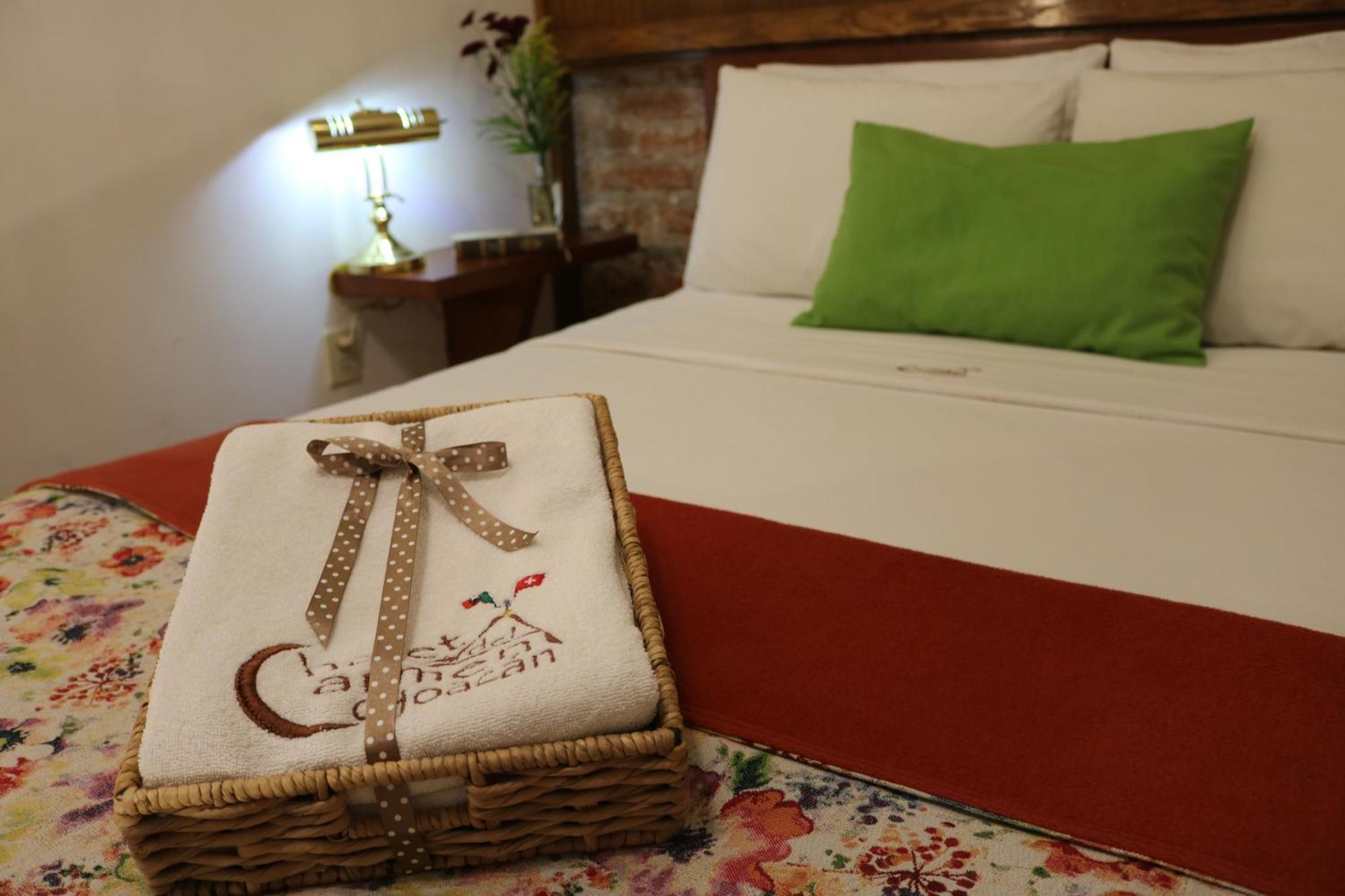 מקסיקו סיטי Chalet Del Carmen, Coyoacan מראה חיצוני תמונה
