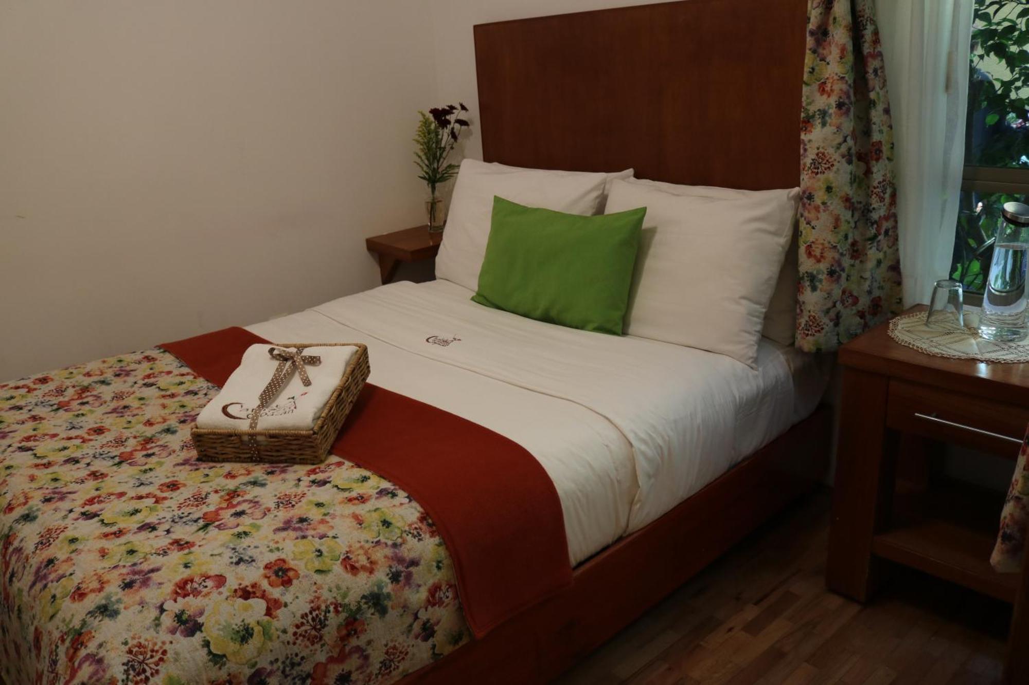 מקסיקו סיטי Chalet Del Carmen, Coyoacan מראה חיצוני תמונה