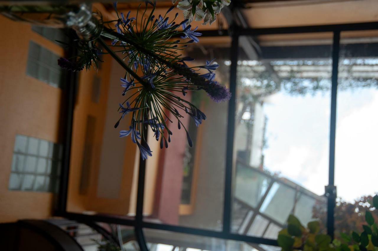 מקסיקו סיטי Chalet Del Carmen, Coyoacan מראה חיצוני תמונה