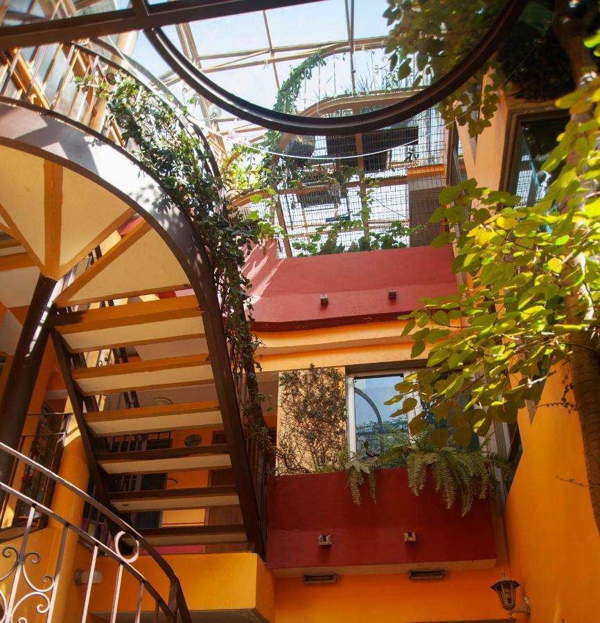מקסיקו סיטי Chalet Del Carmen, Coyoacan מראה חיצוני תמונה